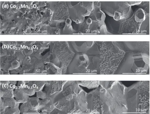 Figure 1. SEM images of MCO samples with Co content of (a) 2.3, (b) 2.5, and (c) 2.7.