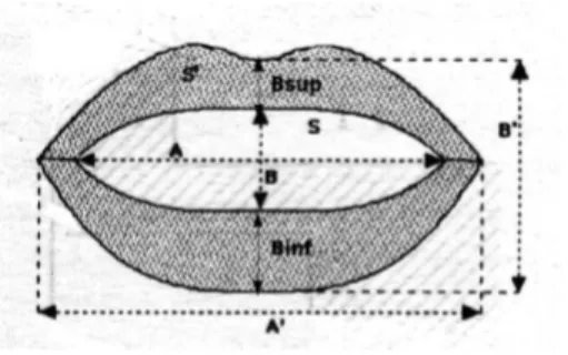 Fig. 2. Parameters used for lip shape modeling.