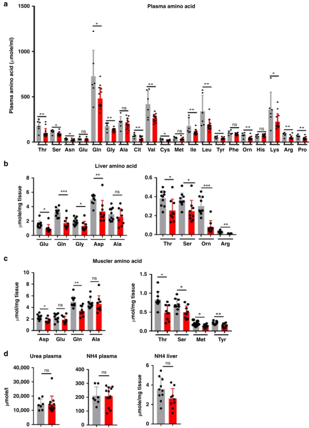 Fig. 5 Plasma, liver, and muscle amino acid content of Lkb1KO livad mice. a Plasma amino acid concentration in fasted mutant (KO: n = 13, red bar) and fasted control (WT: n = 7, gray bar) mice