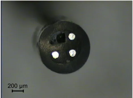 Figure  2:  Optical  image  of  a  silver  tri-electrode  used  for  LEIS  measurement