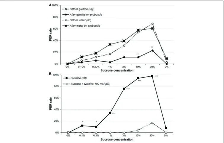 FIGURE 4  |  Effect of quinine on sucrose responsiveness. In part (A), animals were presented the series of sucrose solutions (dotted lines), and if they released a  PER, they immediately received either 100 mM quinine or water on the extended proboscis; t