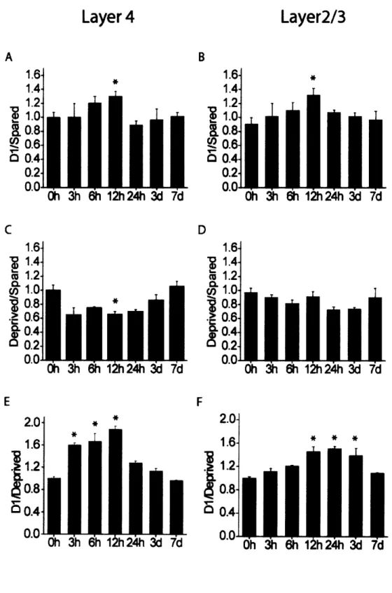 Figure  2-4.  Quantification  of the  time  course  cpgl5 expression  after  single  whisker experience