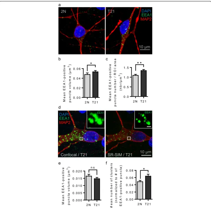 Fig. 5 Confocal microscopy and SR-SIM of human isogenic iPSCs-derived neurons from an individual with T21 mosaicism