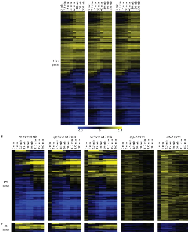 Figure 2. Loss of H3K4 di- and trimethylation leads to a delay in repression kinetics for a subset of genes