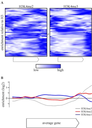 Figure 3. COMPASS-repressed genes have aberrant H3K4 methylation patterns, indicative of 39-end antisense  transcrip-tion