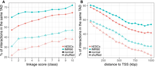 Figure 4. PEGASUS predicted interactions and TADs. (A) Percentage of CNE-gene associations located in the same TAD as a function of PEAGSUS linkage score