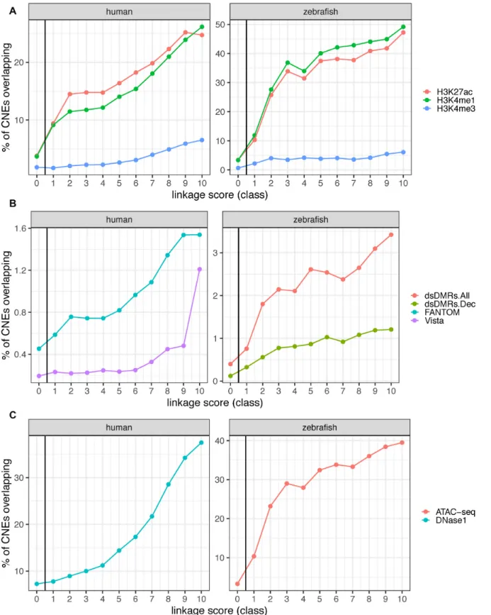 Figure 2. Overlap between PEGASUS CNEs and functional annotations. (A) Percentage of CNEs overlapping histone modification ChIP-seq peaks from embryonic stem cells in human (left) (10) and various developmental stages in zebrafish (right) (36)