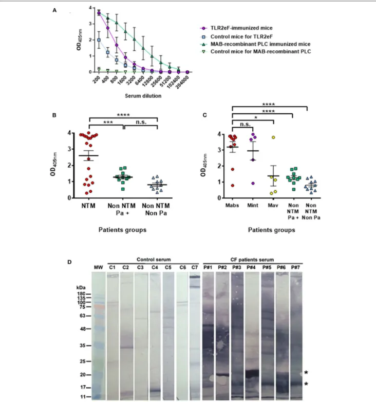 FIGURE 3 | (A) ELISA response from mice immunized with TLR2eF (purple) or control group (blue) against the TLR2eF pool