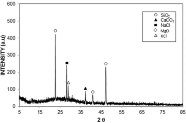 Figure 14.  X-ray diffractogram of the PC surface after removal of mud. 