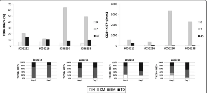 Figure 6 Human rIL-2 transiently increases proliferation of CD8 + T cell subset. Ki67 expression was measured intracellularly in CD8 + T cells (top panel)