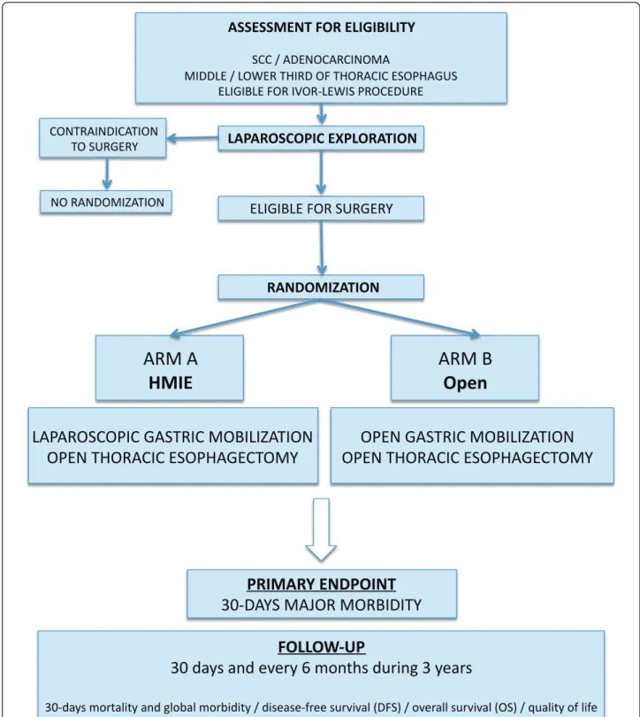 Figure 1 Study flow chart.