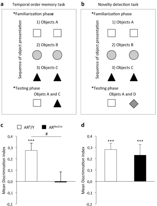 Fig 2. Temporal order memory and object recognition in AR fl /Y and AR NesCre male mice