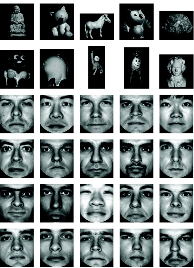 Fig. 12: One preprocessed image of each real-world dataset used in the experiments.