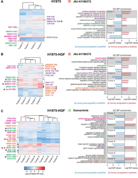 Figure 4. Unique phosphotyrosine rewiring defines resistance to osimertinib and JNJ-61186372  monotherapy in H1975 and H1975-HGF xenografts