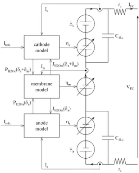 Fig. 1.  PEM fuel cell model. 