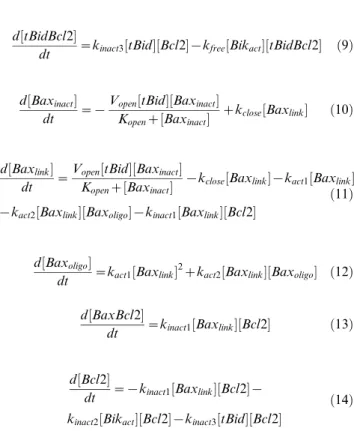 Figure 4 B). This relocation might correspond to Bik release from a binding protein at the ER as previously observed [41]