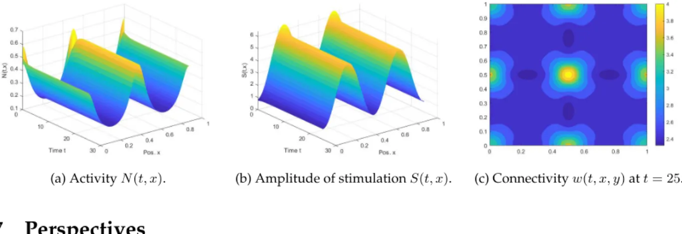 Figure 13: Case γ = 20 and I = 5 sin 2 (2πx) for the limit system.
