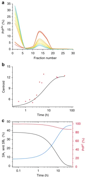 Fig. 7 Mathematical modeling of the time-dependent dynamic evolution of the PMCA-generated PrP Sc assemblies