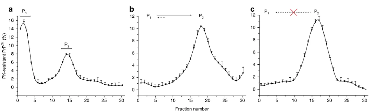 Fig. 3 PrP-dependent generation of B i assemblies from A i assemblies. a PMCA products from 127S, 139A and vCJD prions (10 5 , 10 4 , and 10 4 diluted seeds, respectively) were treated with or without PK to eliminate PrP C before quiescent incubation at 37
