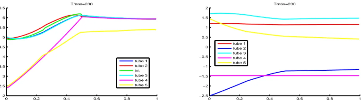 Figure 2. Profiles of water flows (on the right) and concentrations (on the left) at equilibrium.