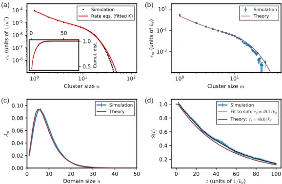 FIG. 3. Shot-noise description vs particle-based simulations of cluster-cluster aggregation for an immobile domain