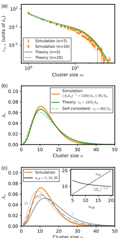 FIG. 4. Shot-noise description vs particle-based simulations of cluster-cluster aggregation for diffusing clusters