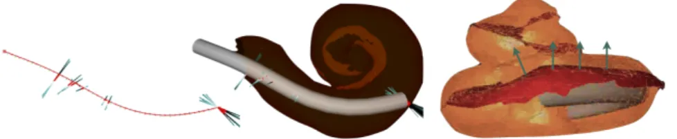 Fig. 3. (Left) The implant is modeled using beam elements and, (middle) its motion is constrained by contact and friction response to collision with cochlear walls