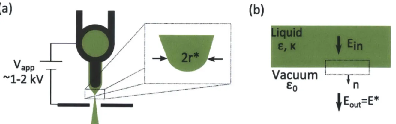 Figure  2-3:  (a)  Emission  site  diagram  (b)  Liquid  Vacuum  interface  and  Gaussian pillbox