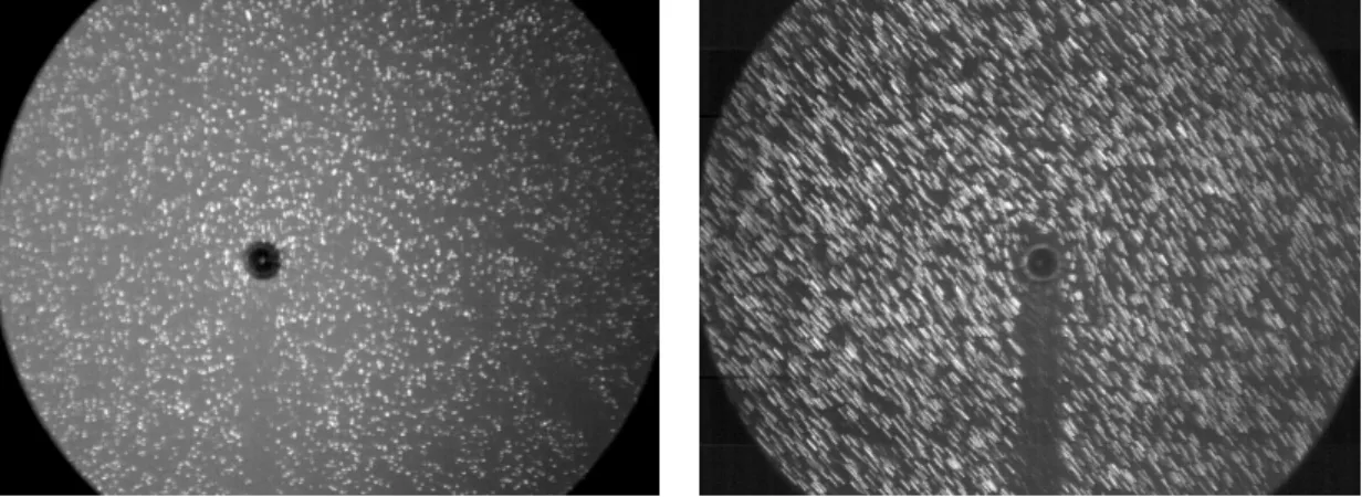 Figure 2: Fluorescent tracer particles around two bubbles oscillating in a purely spherical mode