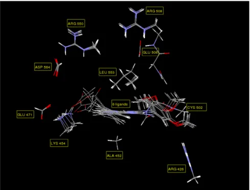 Figure 22. Overlay of the inhibitors in the FAK recognition site. 