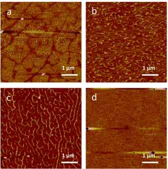 Figure 6: AFM height topography of DPPC  monolayer on mica deposited at 25 mN/m at (a) high  and (b) low amplitude set points