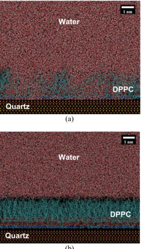 Figure 9: Droplet contact angle relaxation during  evaporation shows a dependence on surface pressure  (means of ten runs)