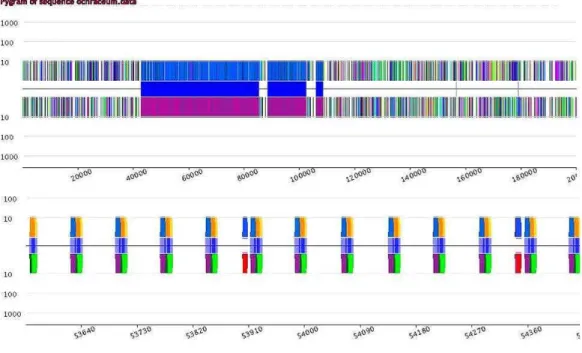 Figure 2 : Pygrams of the same genomic regions than in figure 1 