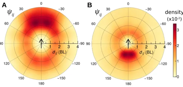 Figure 4: Density maps of the location of a neighbouring fish j in the system of reference centred on the focal fish i.