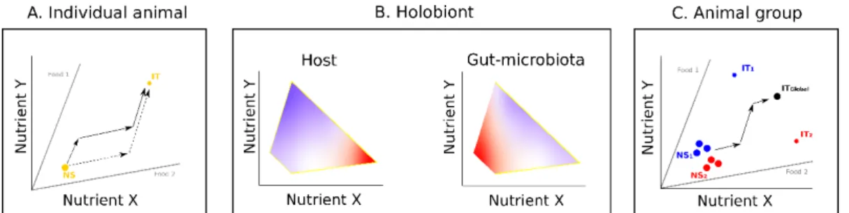 Figure 1. Nutritional geometry models for individual animals, holobionts, and animal groups