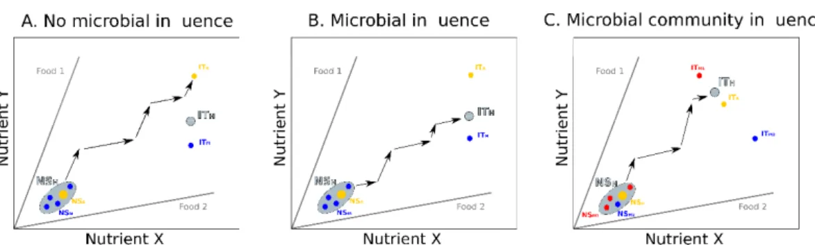 Figure 2. Influence of the gut microbiota on host nutrition. In these hypothetical examples, hosts and  microbes are represented in a common nutrient space defined by two nutrients