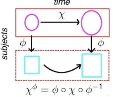 Fig. 1. In the subject-specific approach, one considers that one subject is “circle” and the other is “square”: the difference between both subjects is a single function φ, which maps circles to squares,  in-dependently on time