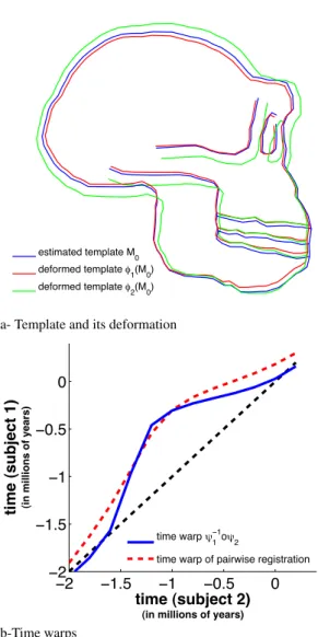 Fig. 9 Spatiotemporal atlas estimation: template and time warp. (a) the template and its morphological deformation to the first subject (red) and the second subject (green)