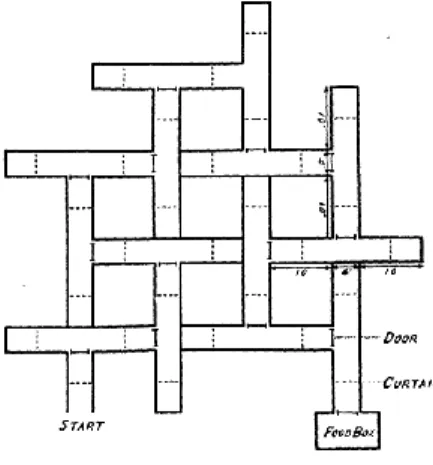 Figure 1 - Tolman's labyrinth example