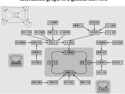 Figure  1:  The  interaction  graph  (top  left)  and  the  trajectory  graph of a  Boolean genetic regulatory network 