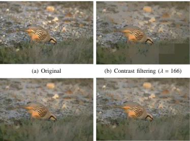Fig. 3. Area and contrast filtering in the RGB space. Filtering was performed in 13 overlapping patches.