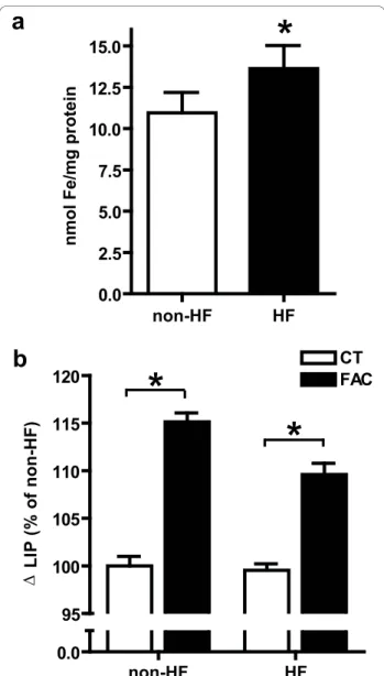 Figure 4 Cellular iron levels. a) Fibroblasts were cultured under basal conditions (BC) and total iron content was analyzed by the ferrozine method