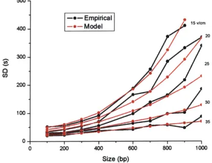 Figure  5.4: Empirical  and  theoretical  standard deviations  vs.  size.  To  account  for the  finite  launch  width, we  isolated  the  variance  in  position  due  to  finite  launch  width  for  each  data  point  by  removing  the diffusion  and  tra