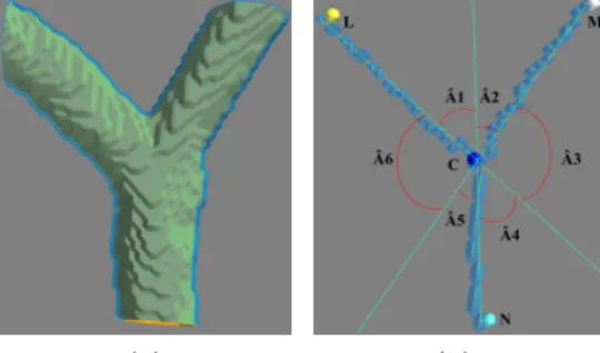 Figure 4: (a) Bifurcation angles and (b) Graph and target angles.