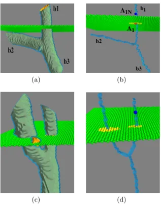 Figure 5: Cut plan through the branches of a 3D bifurcation. Left: 3D bifurcations with cutting plane, and right: skeleton and cross section (see text for details).