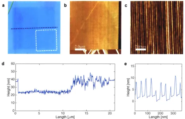 Figure  2-3:  Hexagonal  boron nitride grating with  optimal neon  dosage.
