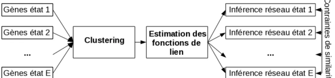 Figure 1: Principe de la m´ ethode propos´ ee pour inf´ erer des r´ eseaux de g` enes provenant de plusieurs ´ etats