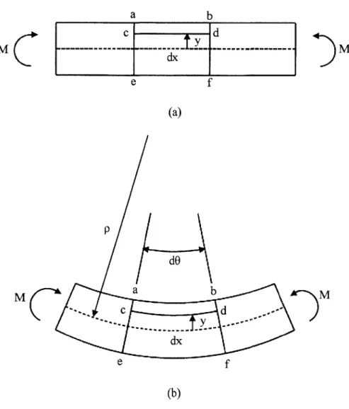 Figure 2.2a shows  a length of a homogeneous  beam prior to being deformed.  The dashed  line represents  the neutral  axis of the beam