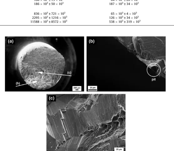 Fig. 13. SEM images of fatigue fracture surfaces after the pre-corroded treatment of AA 6101 T4: (a) global view, (b) crack initiation on pit and (c) slow crystallographic crack propagation ( r = 89% of the ultimate tensile strength).