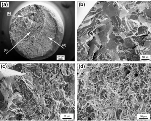 Fig. 8. SEM images of the fatigue fracture surfaces of AA 6101 T4: (a) global view, (b) slow crystallographic crack propagation, (c) transition between crystallographic propagation and ductile rupture, and (d) ﬁnal rupture (for r = 89% of the ultimate tens